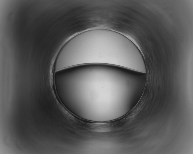 X0000088631151200705250853