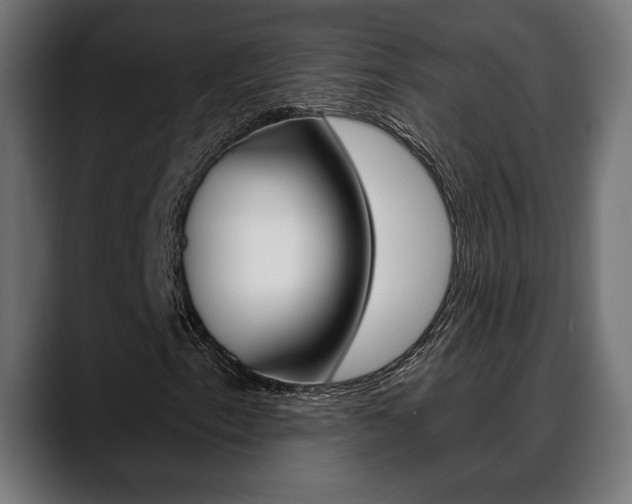 X0000088631153200705250852