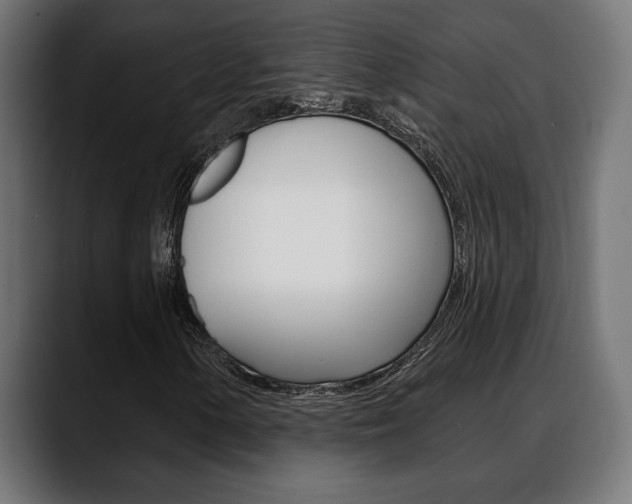 X0000088631154200705250852