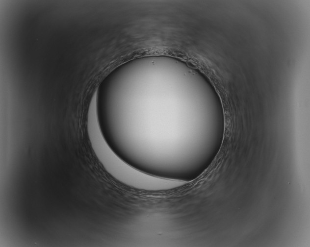 X0000088631157200705250852