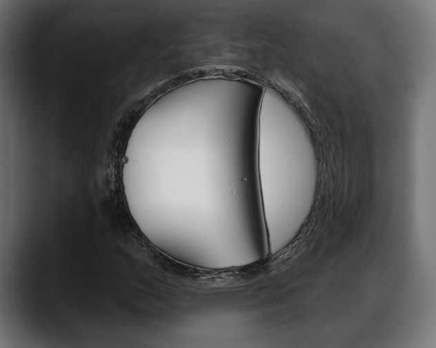 X0000088631159200705250852