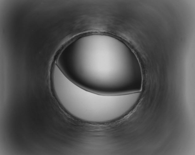 X0000088631168200705250852