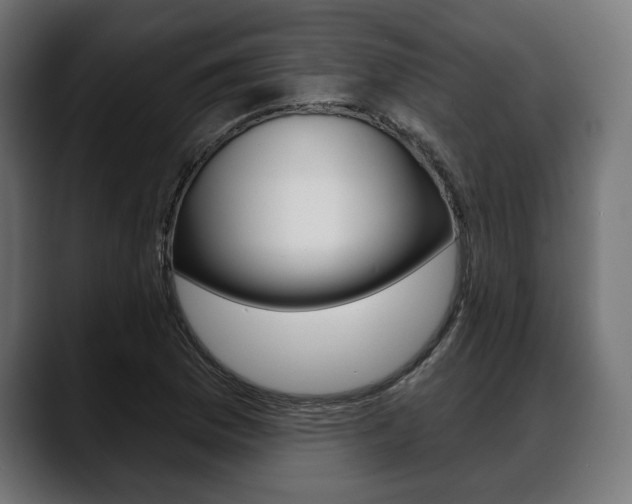 X0000088631169200705250852