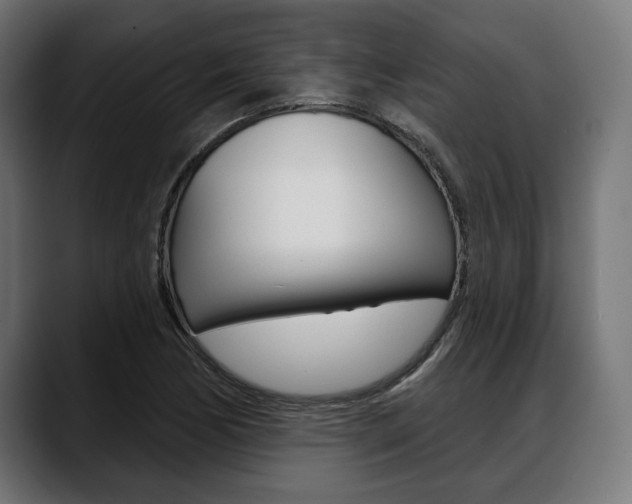 X0000088631170200705250852