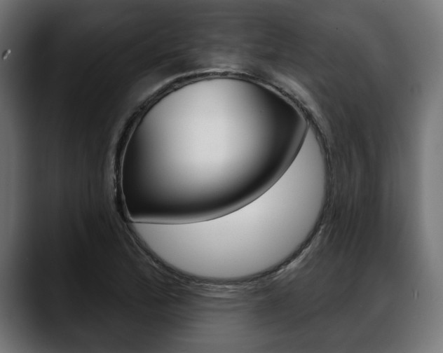 X0000088631172200705250852