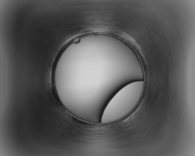 X0000088631174200705250852