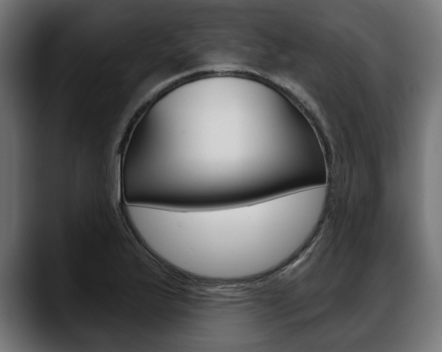 X0000088631175200705250852