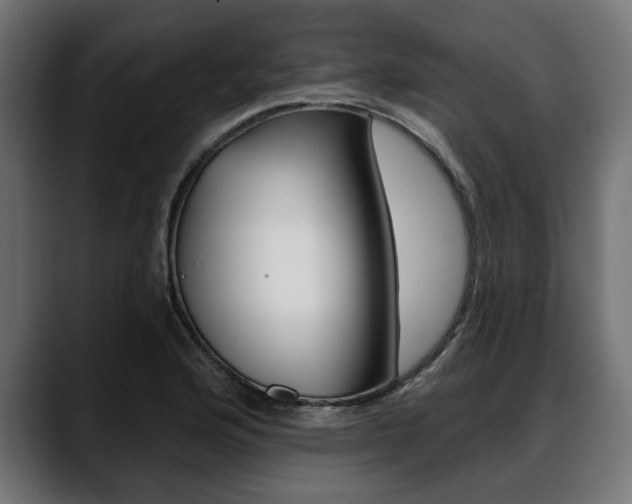 X0000088631176200705250852
