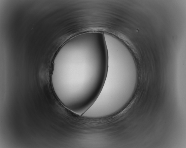 X0000088631177200705250852