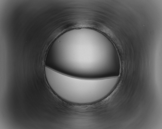 X0000088631185200705250852