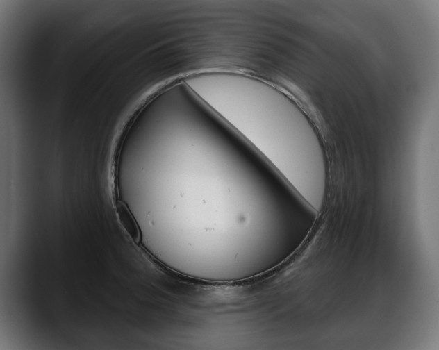 X0000088631188200705250852