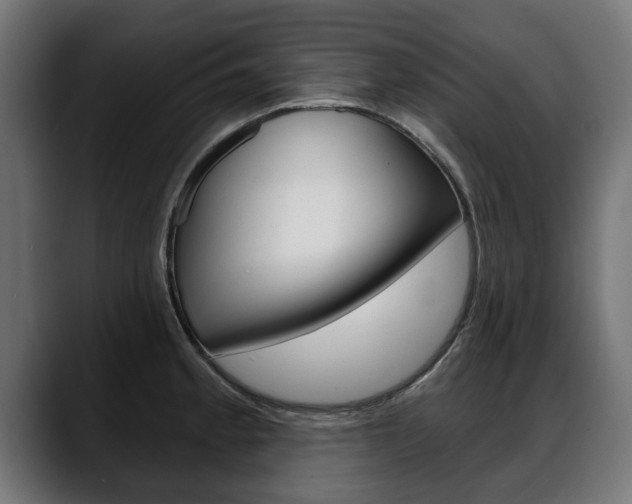 X0000088631189200705250852