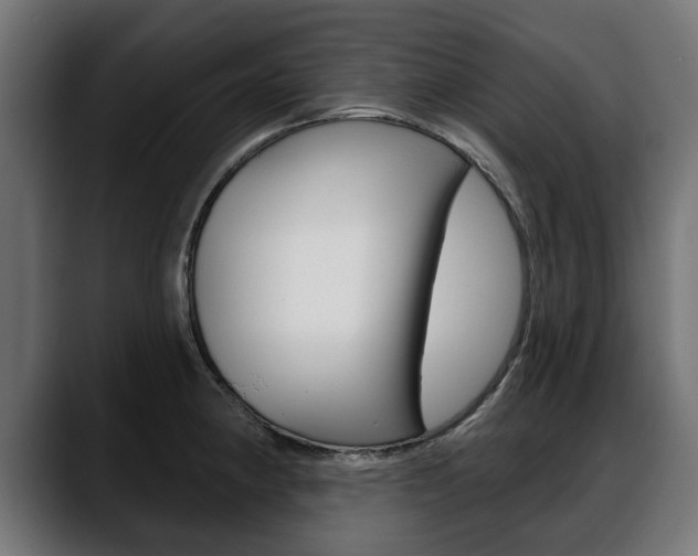 X0000088631190200705250852