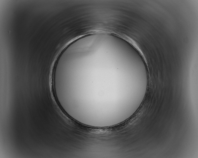 X0000088631195200705250852