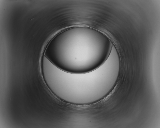 X0000088631196200705250852