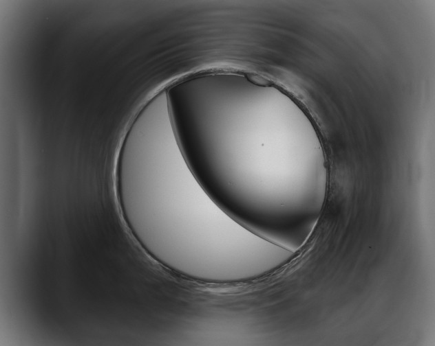 X0000088631199200705250852