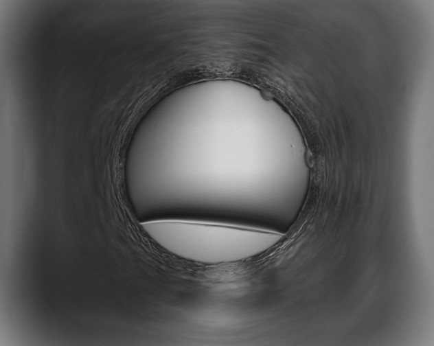 X0000088631201200705250851