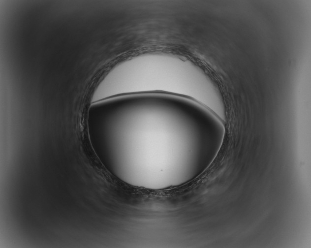 X0000088631206200705250851