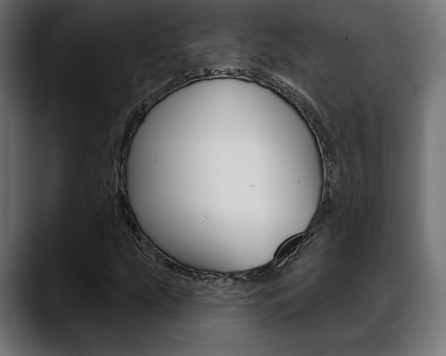 X0000088631207200705250851