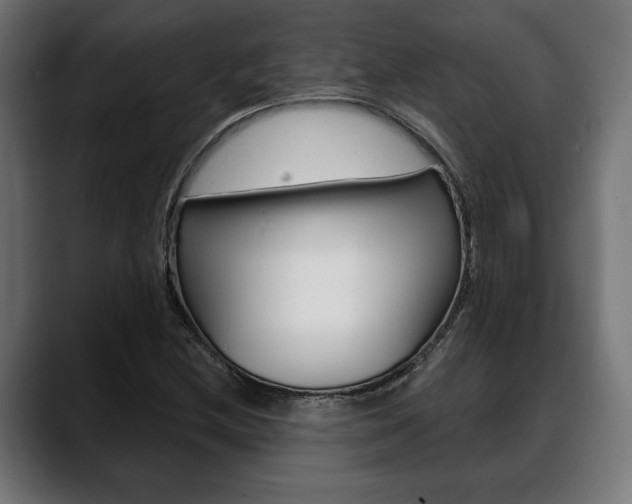 X0000088631212200705250851