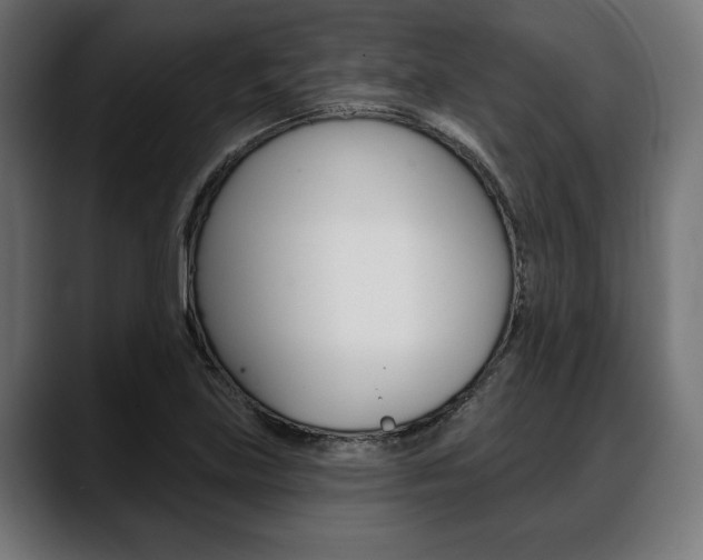 X0000088631219200705250851