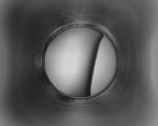 X0000088631220200705250851