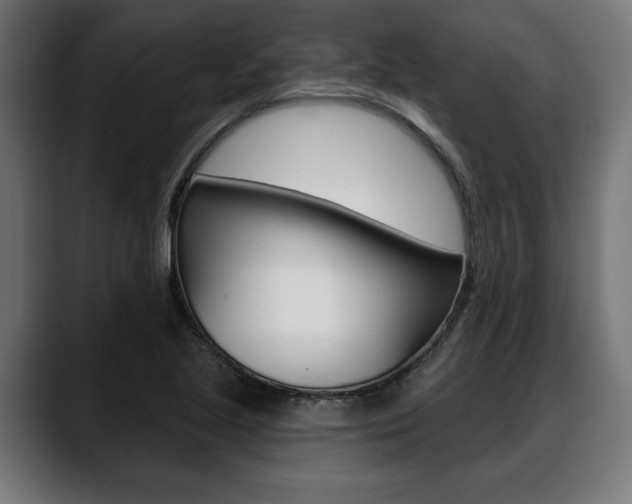 X0000088631221200705250851