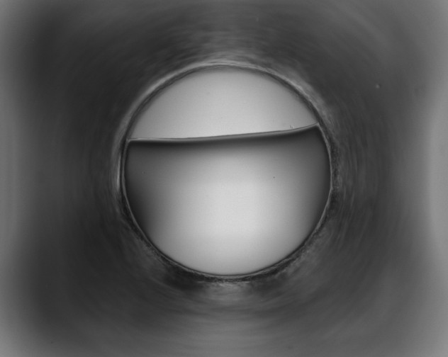 X0000088631224200705250851