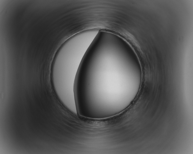 X0000088631226200705250851