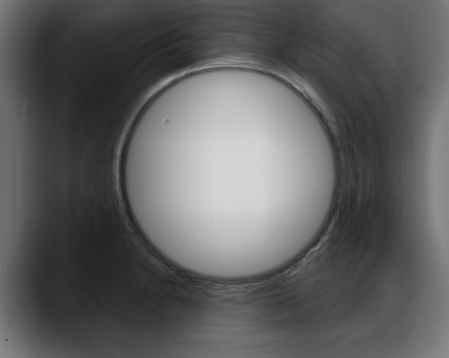 X0000088631230200705250851