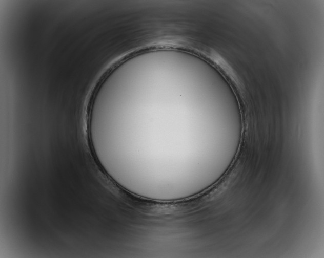 X0000088631232200705250851