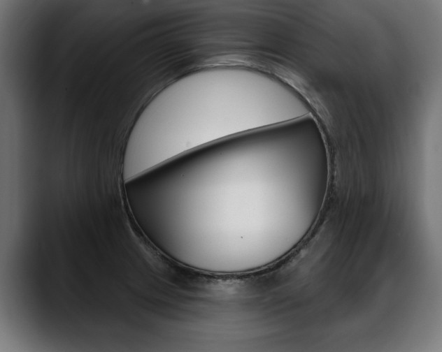 X0000088631233200705250851