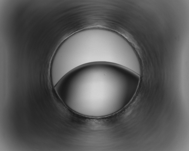 X0000088631234200705250851