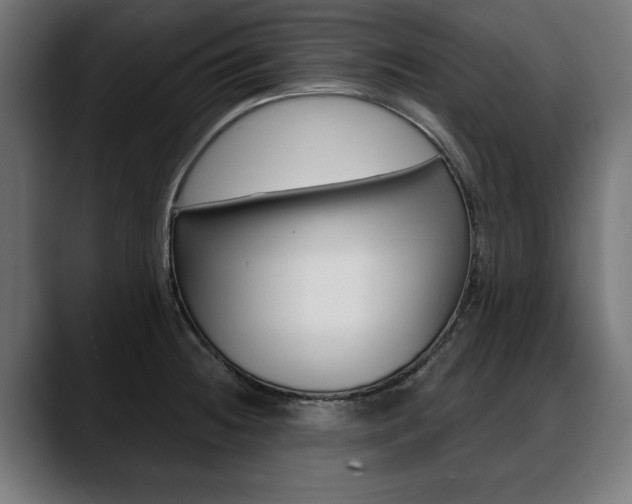 X0000088631236200705250851