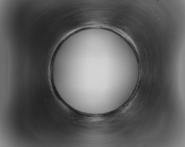 X0000088631239200705250851