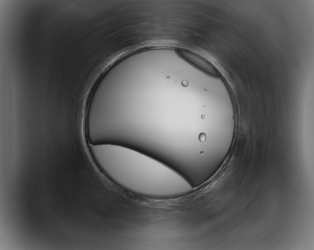 X0000088631245200705250851
