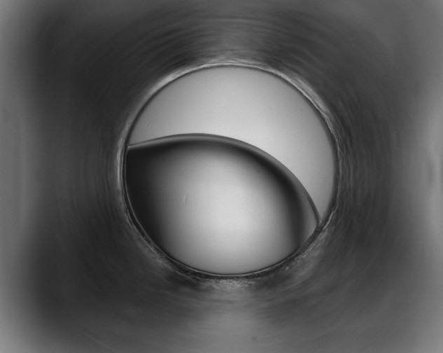 X0000088631246200705250851