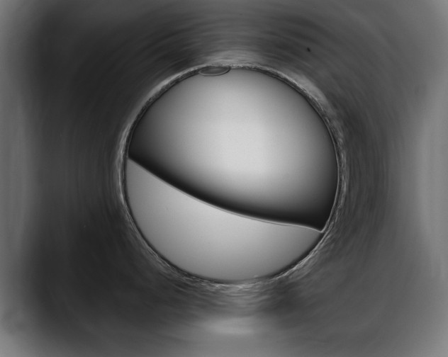 X0000088631248200705250852