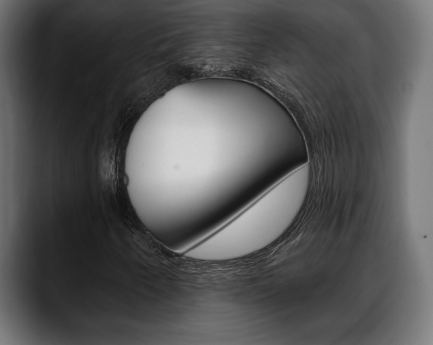 X0000088631250200705250851