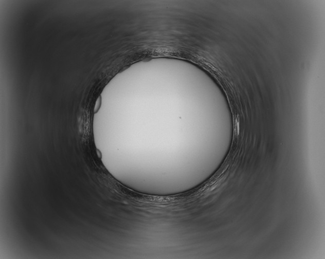 X0000088631251200705250851