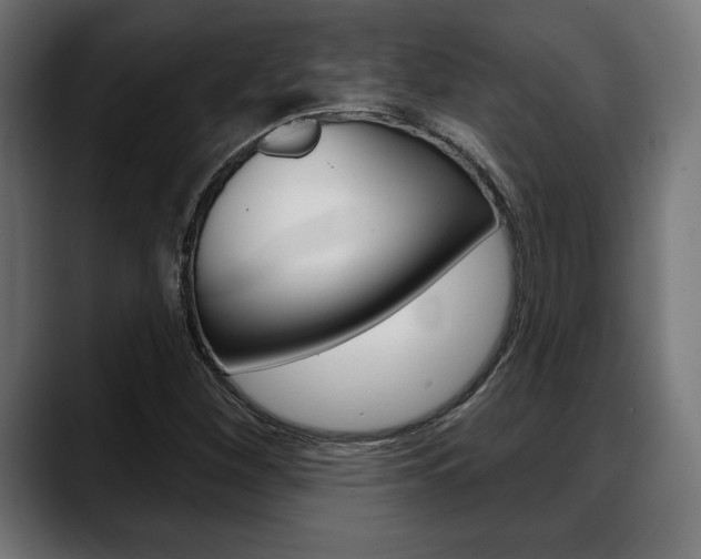 X0000088631260200705250851