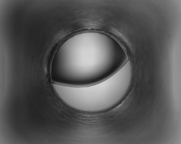 X0000088631261200705250851