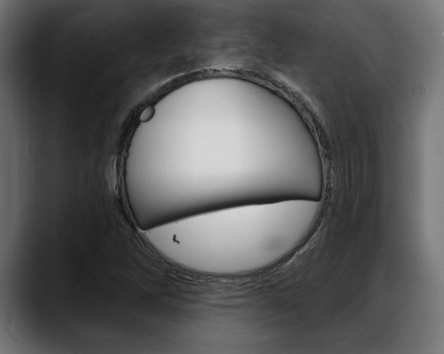 X0000088631262200705250851