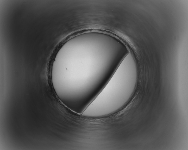 X0000088631264200705250851