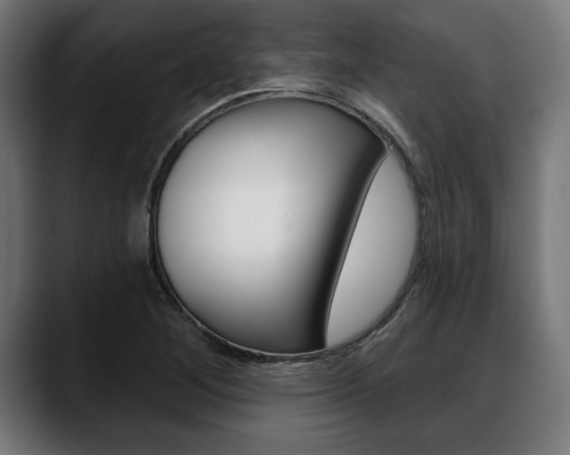 X0000088631268200705250851