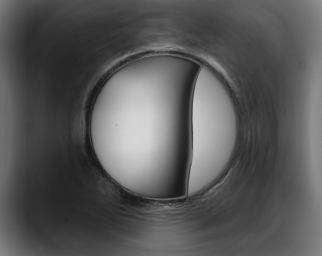 X0000088631270200705250851