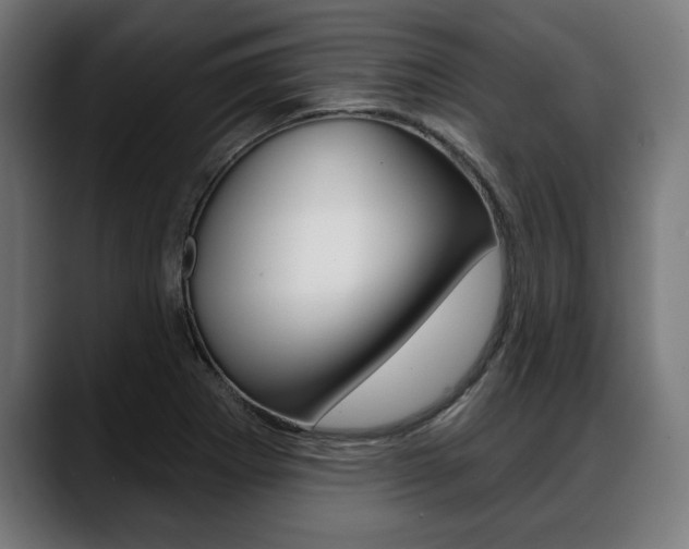 X0000088631273200705250851