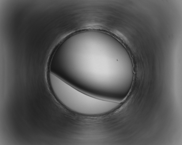 X0000088631277200705250851