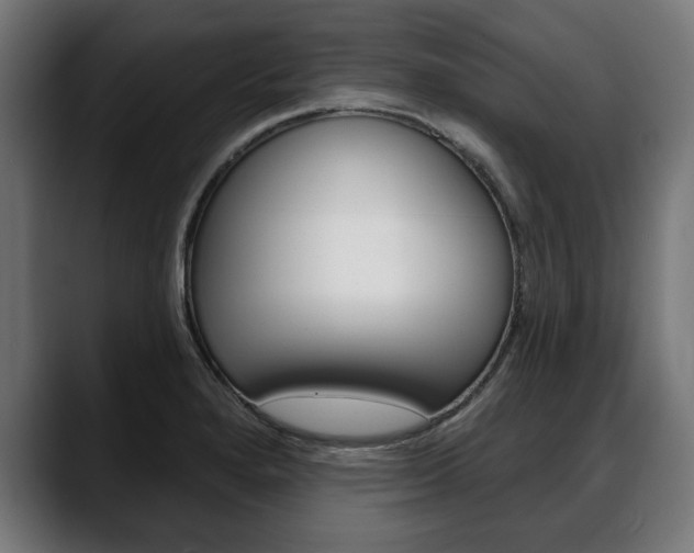 X0000088631280200705250850