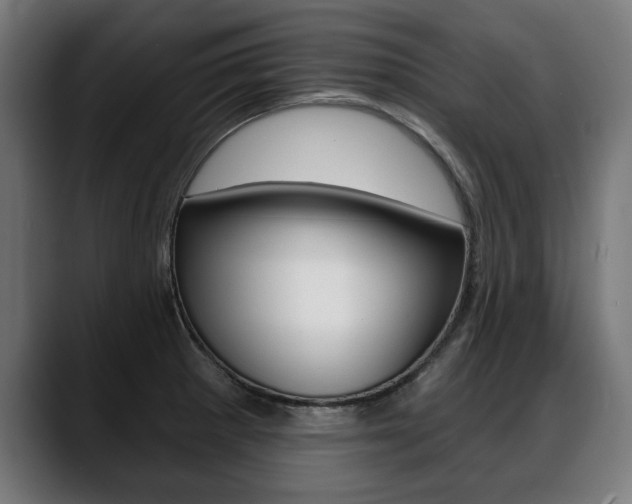 X0000088631281200705250850